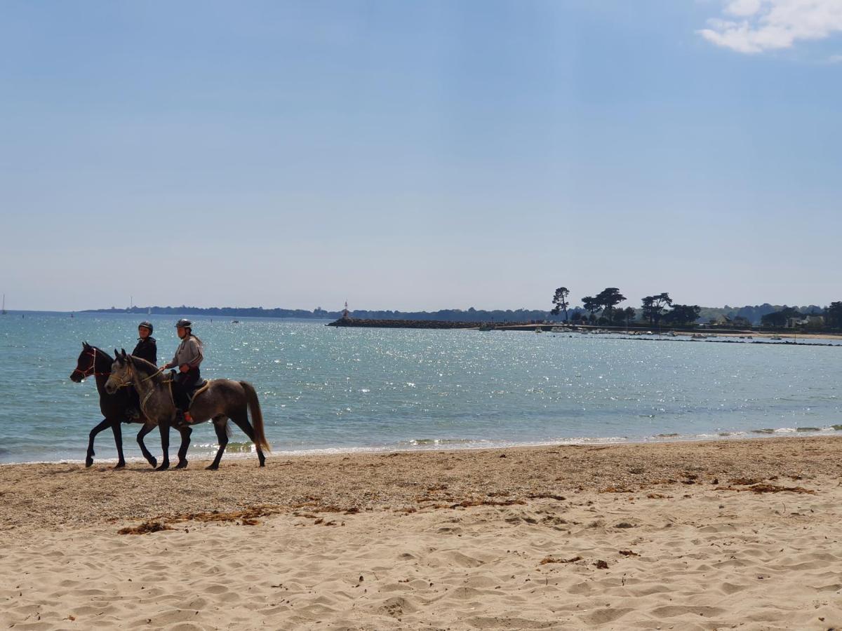 Vacances O Loch - Studio A 200 Metres De La Plage - Le Cap Coz Fouesnant Exterior foto